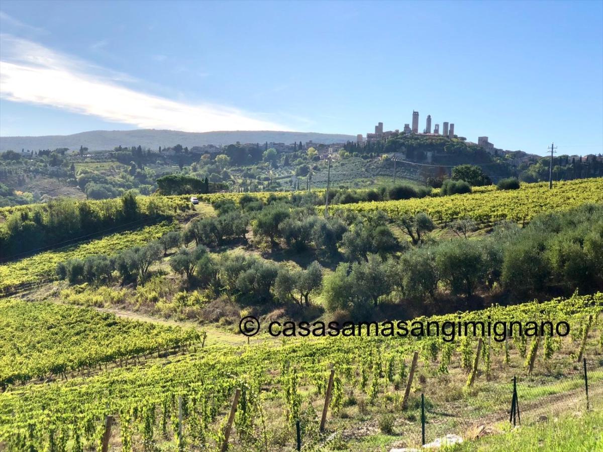 Charming House - Parking Included Leilighet San Gimignano Eksteriør bilde