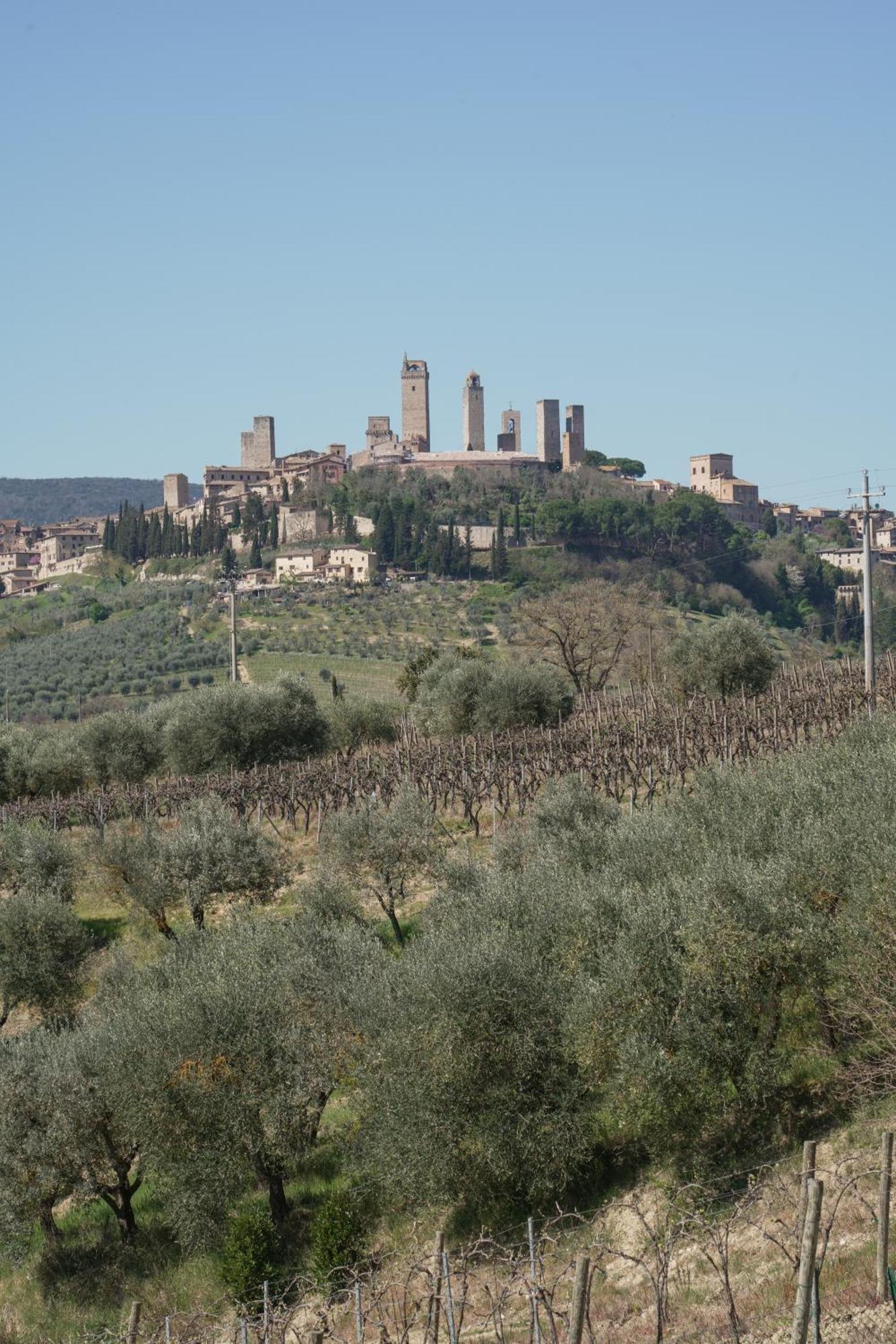Charming House - Parking Included Leilighet San Gimignano Eksteriør bilde